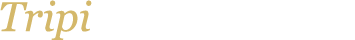 Tripi Detective Agency, LLC